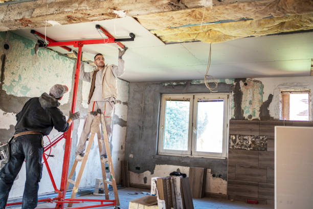 Best Eco-Friendly Insulation in Rehoboth Beach, DE