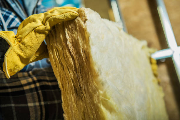 Best DIY Insulation Kits and Guidance in Rehoboth Beach, DE