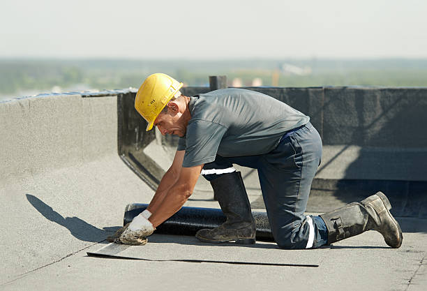 Best Commercial Insulation in Rehoboth Beach, DE