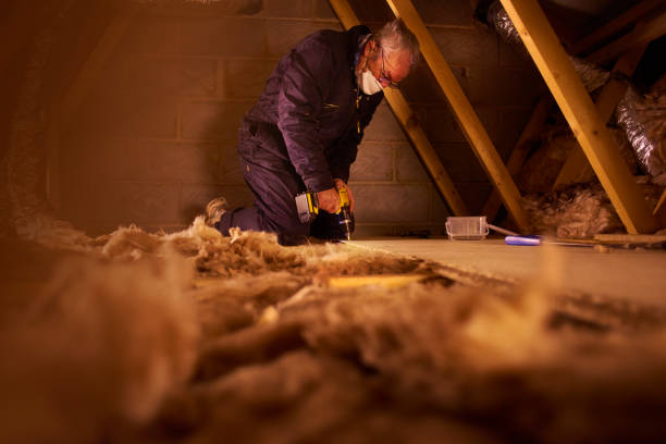Types of Insulation We Offer in Rehoboth Beach, DE